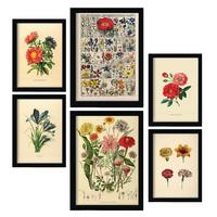 POSTER Set Mit 6 Blumen In Vintage A3 & A4 Schwarzer Rahmen - Schwarz, Papier (29/3cm) - Nacnic