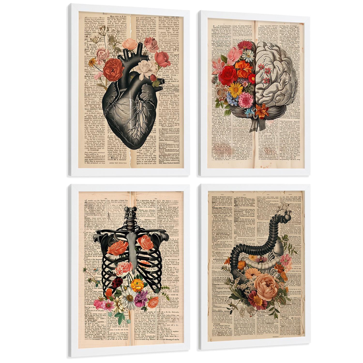 POSTER Set aus 4 Anatomie Drucke und Wandbilder mit Herz Gehirn Skelett und Darm Antiker Hintergrund Wanddekoration Größe Weißer Rahmen A4 - Weiß, Papier (21/29.7/3cm) - Nacnic