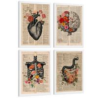 POSTER Set aus 4 Anatomie Drucke und Wandbilder mit Herz Gehirn Skelett und Darm Antiker Hintergrund Wanddekoration Größe Weißer Rahmen A3 - Weiß, Papier (29.7/42/3cm) - Nacnic
