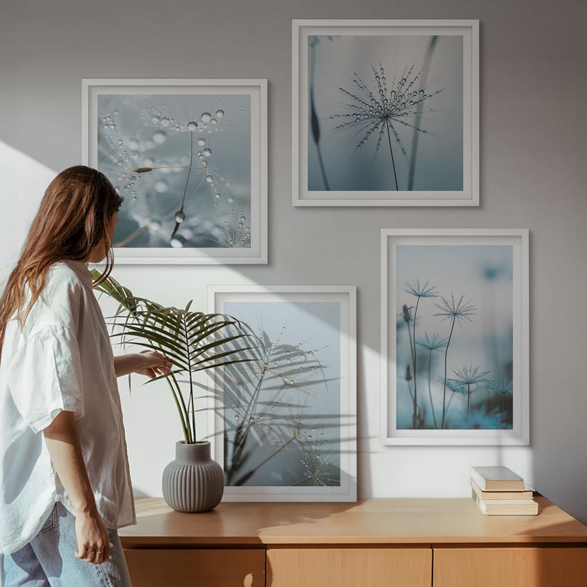 BILDER SET 4er Set - 50x50 cm & 40x60 cm Weißer Rahmen - Löwenzahn-Wassertropfen - Weiß, Kunststoff (50/50cm) - TULUP