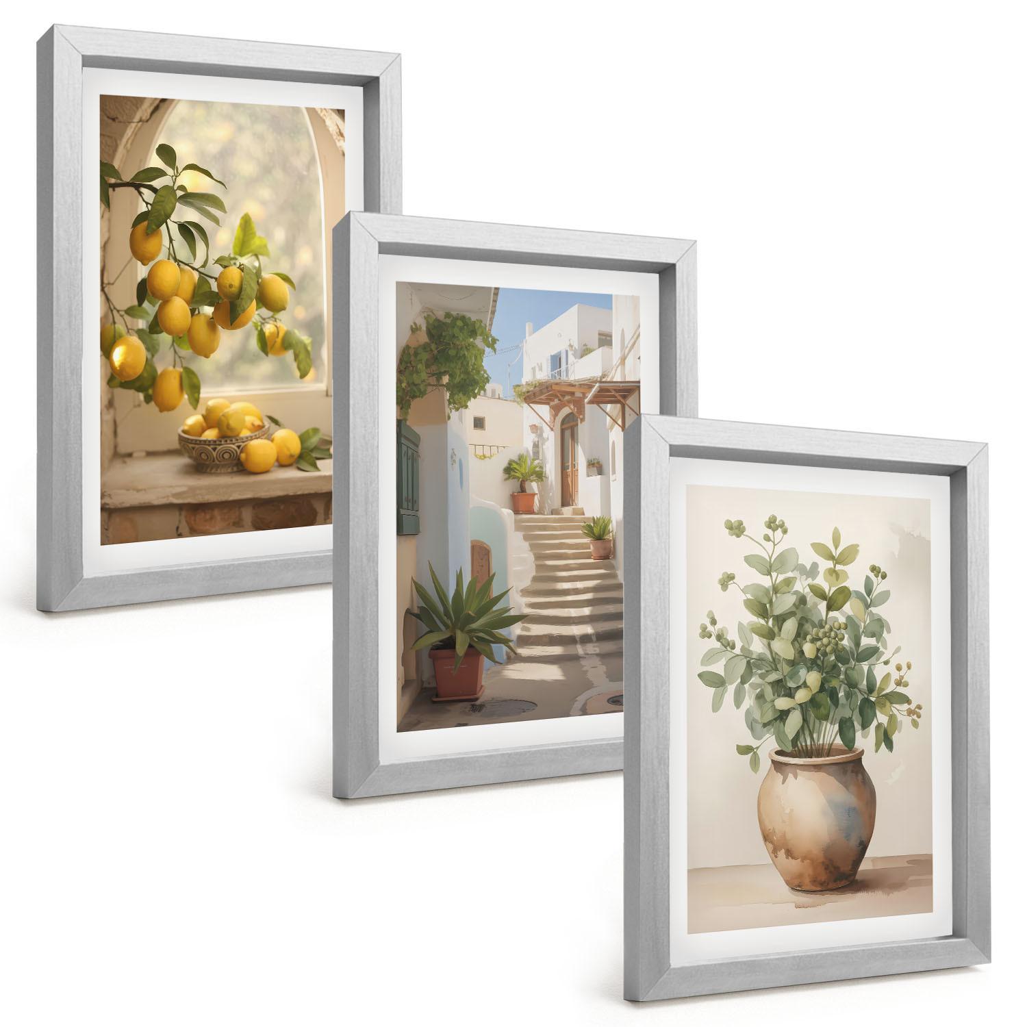 BILDER SET 3er Set - 20x30 cm Silberner Rahmen - Zitronen in einer Pflanzenvase - Silberfarben, Kunststoff (20/30cm) - TULUP