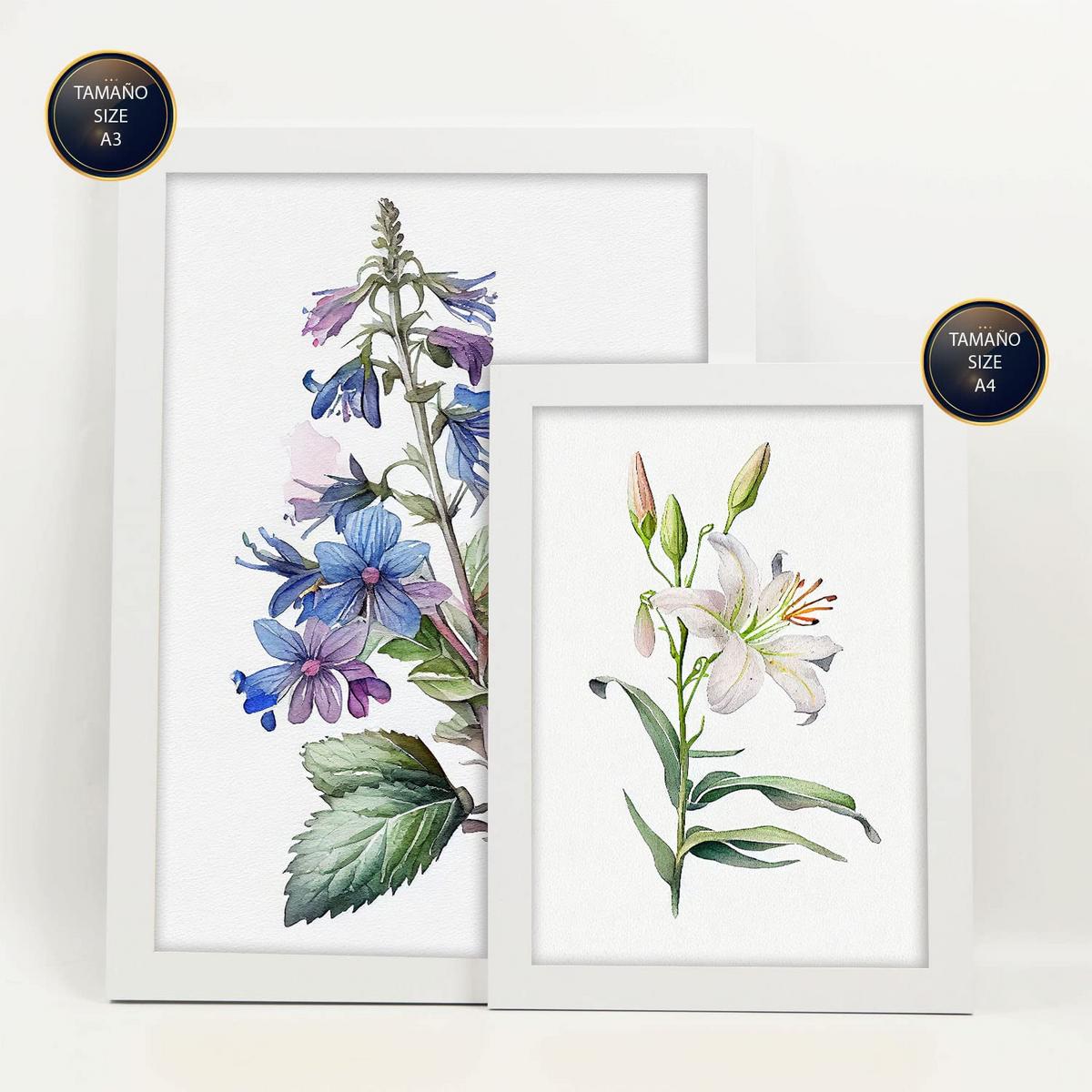 POSTER Set Mit 6 Lilien Vollfarbige Natur Und Botanikdrucke Mit Blumenmotiven Auf Reinweißen Hintergründen Innenarchitektur A3 & A4 Weißer Rahmen - Weiß, Papier (29/3cm) - Nacnic