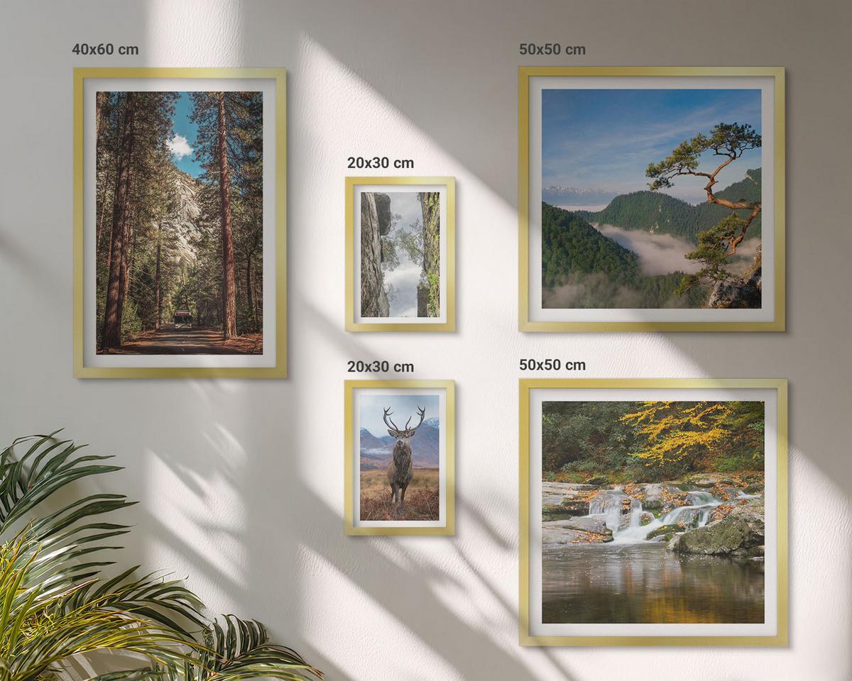 BILDER SET 5er Set - 50x50 cm & 20x30 cm & 40x60 cm Goldrahmen - Wasserfall Wald Berge Hirsch Natur - Goldfarben, Kunststoff (40/60cm) - TULUP
