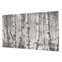FOTOTAPETE 416x254 cm - Birkenwald - Schwarz, Textil (416/254cm) - Wallfluent