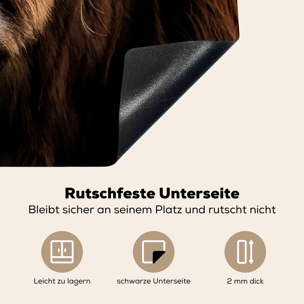 HERDABDECKPLATTE Schottischer Highlander - Hörner - Schwarz - Tiere - Natur - Wild - Kuh Induktionsmatte 78x78 cm - Cognac, Kunststoff (78/78/0.2cm) - MuchoWow