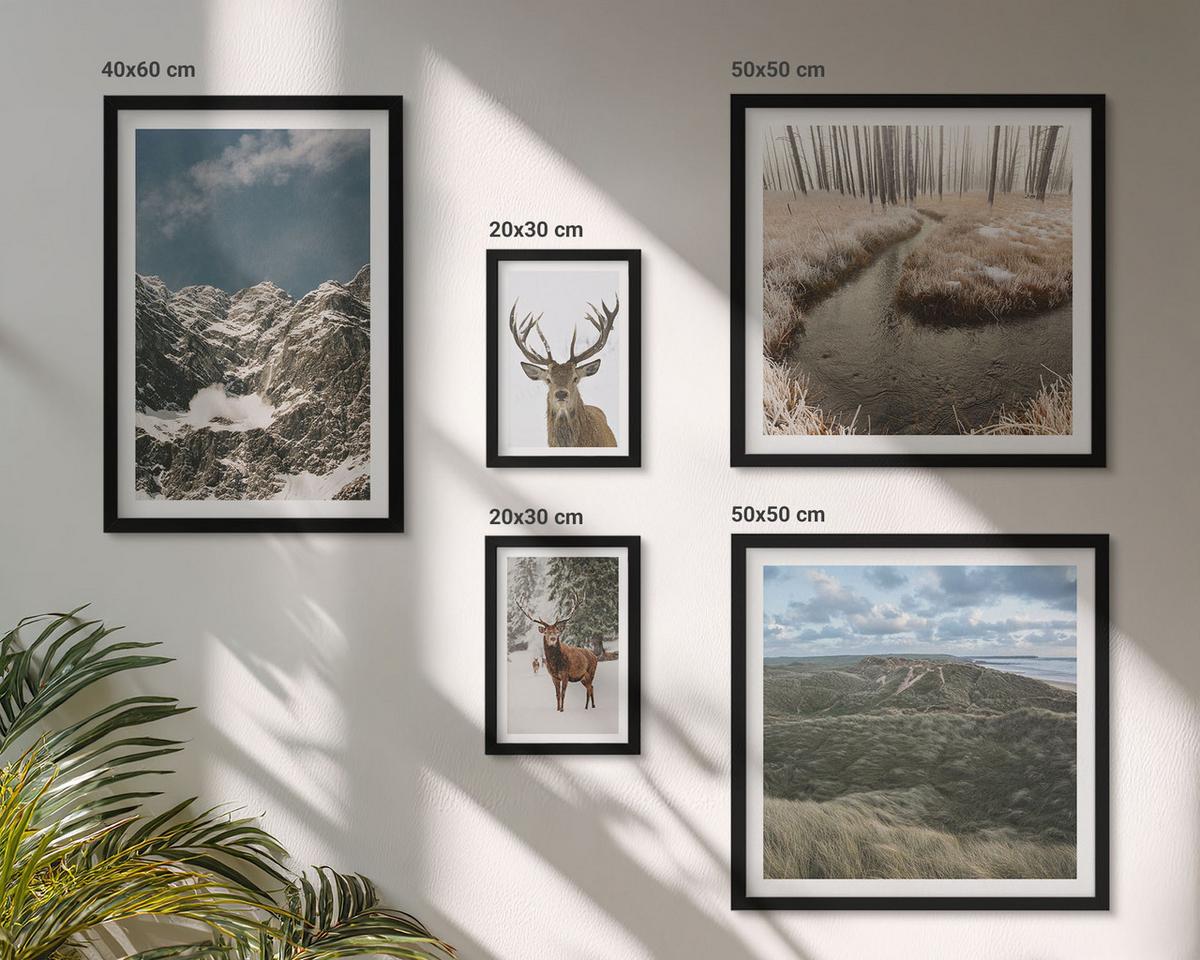 BILDER SET 5er Set - 50x50 cm & 20x30 cm & 40x60 cm Schwarzer Rahmen - Berge, Schnee, Hirsche, Waldlandschaft - Schwarz, Kunststoff (40/60cm) - TULUP