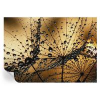 FOTOTAPETE 208x146 cm - Zarte Tropfen - Weiß, Textil (208/146cm) - Wallfluent
