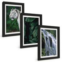 BILDER SET 3er Set - 20x30 cm Schwarzer Rahmen - Wasserfall aus weißen Tigerblättern - Schwarz, Kunststoff (20/30cm) - TULUP