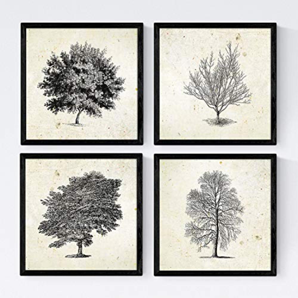 POSTER Set mit 4 Blättern der Caduda und immergrüne 20x20cm Schwarzer Rahmen - Schwarz, Papier (20/3cm) - Nacnic