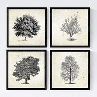 POSTER Set mit 4 Blättern der Caduda und immergrüne 20x20cm Schwarzer Rahmen - Schwarz, Papier (20/3cm) - Nacnic