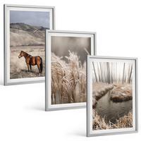 BILDER SET 3er Set - 40x60 cm Silberner Rahmen - Pferde, Landschaft, Gras, Bach - Silberfarben, Kunststoff (40/60cm) - TULUP