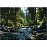 FOTOTAPETE Wald Fluss Grün 200x140 cm - Multicolor, Papier (200/140cm) - Wallarena