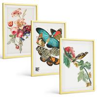 BILDER SET 3er Set - 40x60 cm Goldrahmen - Blumen, Schmetterlinge, Vögel, Pastellfarben - Goldfarben, Kunststoff (40/60cm) - TULUP