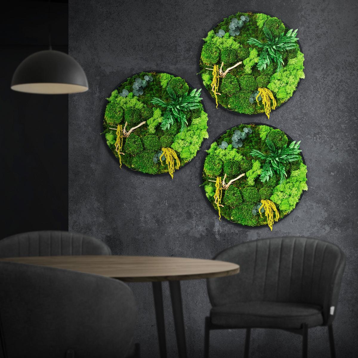 MOOSBILD Rund Ø 40 cm Mooswand Indoor mit echtem Kugel-, Island- und Flachmoos-Mix und Ästen Holzrahmen Grün - Gelb/Grün, Naturmaterialien (40/40/3cm) - ECD-Germany