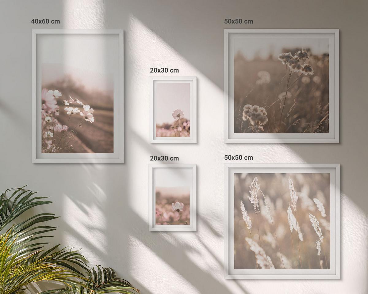 BILDER SET 5er Set - 50x50 cm & 20x30 cm & 40x60 cm Weißer Rahmen - Wildblumen auf den Wiesen im Sommer - Weiß, Kunststoff (40/60cm) - TULUP