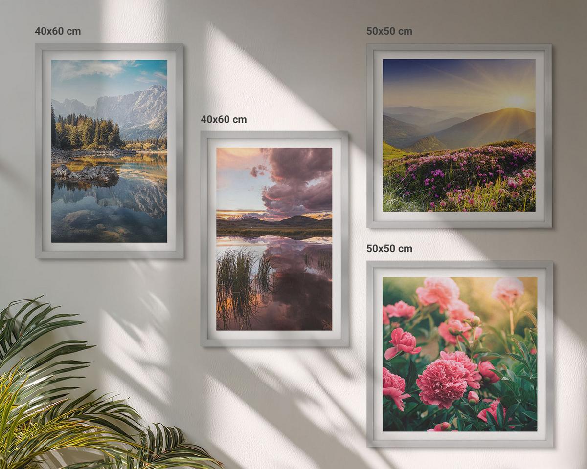 BILDER SET 4er Set - 50x50 cm & 40x60 cm Silberner Rahmen - Blumengarten, Bergwiese, Wasser - Silberfarben, Kunststoff (50/50cm) - TULUP