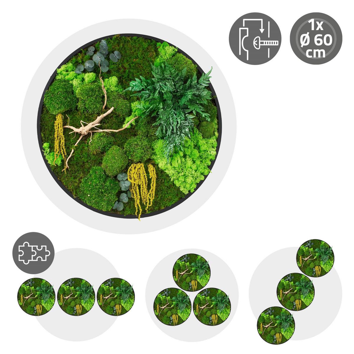 MOOSBILD Rund Ø 60 cm Mooswand Indoor mit echtem Kugel-, Island- und Flachmoos-Mix und Ästen Holzrahmen Grün - Gelb/Grün, Naturmaterialien (60/60/3cm) - ECD-Germany