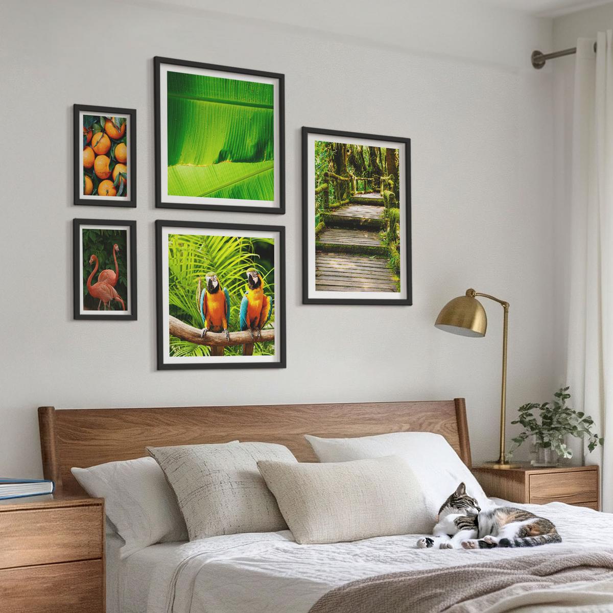 BILDER SET 5er Set - 50x50 cm & 20x30 cm & 40x60 cm Schwarzer Rahmen - Fruchtige Akzente der Tropen - Schwarz, Kunststoff (40/60cm) - TULUP
