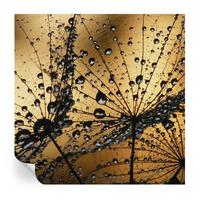 FOTOTAPETE 250x250 cm - Zarte Tropfen - Weiß, Textil (250/250cm) - Wallfluent