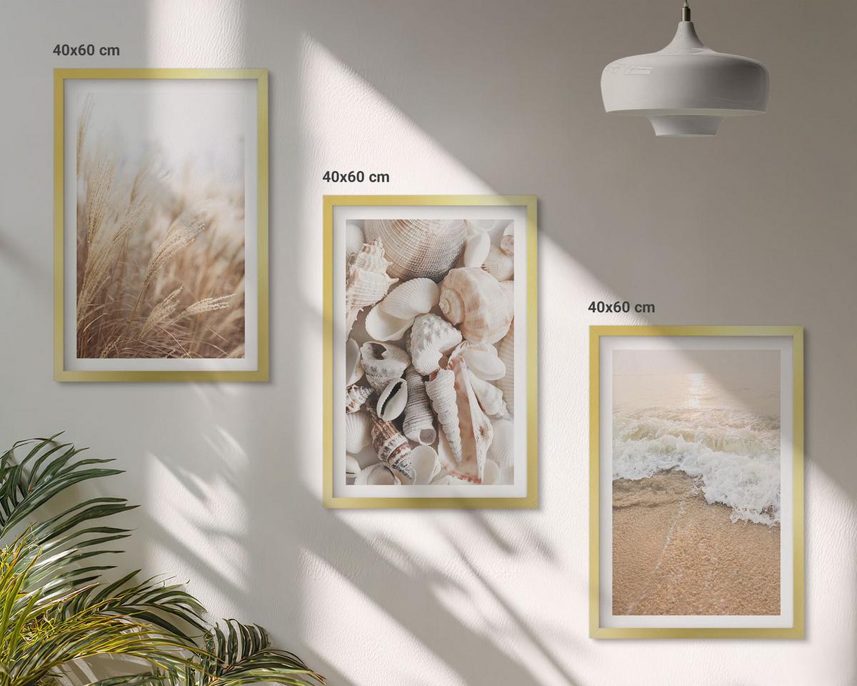 BILDER SET 3er Set - 40x60 cm Goldrahmen - Strandmotive, Muscheln, Wellen - Goldfarben, Kunststoff (40/60cm) - TULUP