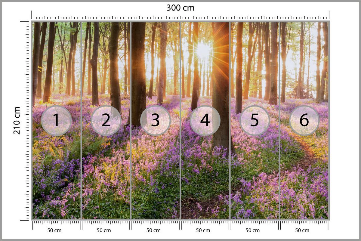 FOTOTAPETE Wald Blumen Sonnenaufgang Landschaft 3D 300x210 - Gelb/Beige, Papier (300/210cm) - Muralo