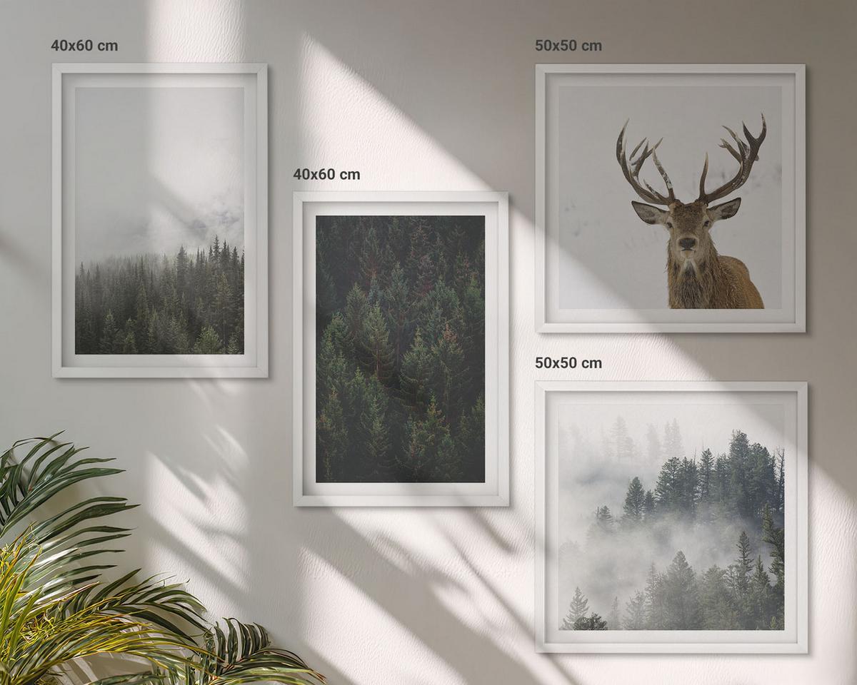 BILDER SET 4er Set - 50x50 cm & 40x60 cm Weißer Rahmen - Grüne Wälder, neblige Landschaft - Weiß, Kunststoff (50/50cm) - TULUP