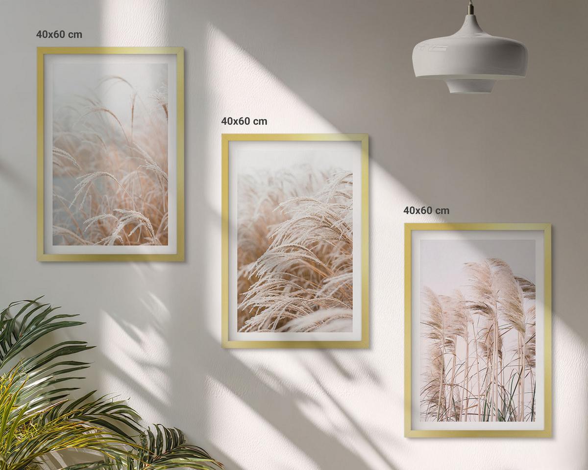 BILDER SET 3er Set - 40x60 cm Goldrahmen - Grasflächen in Braun- und Beigetönen - Goldfarben, Kunststoff (40/60cm) - TULUP