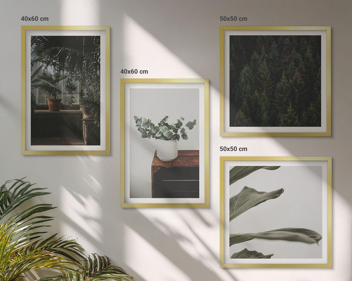 BILDER SET 4er Set - 50x50 cm & 40x60 cm Goldrahmen - Rustikale Topfpflanzen - Goldfarben, Kunststoff (50/50cm) - TULUP