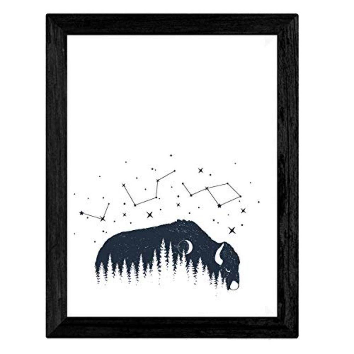 POSTER Set mit 4 Waldvögeln A4 Schwarzer Rahmen - Schwarz, Papier (29.7/3cm) - Nacnic