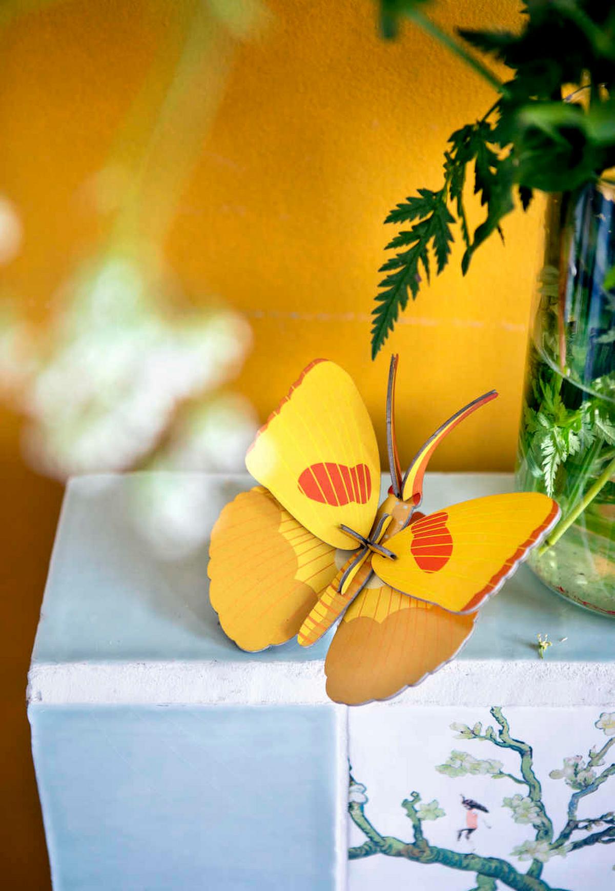 WANDDEKO Zitronen-Schmetterling 16/6 cm - Gelb/Orange, Wellpappe (16/6/17cm) - Studio Roof
