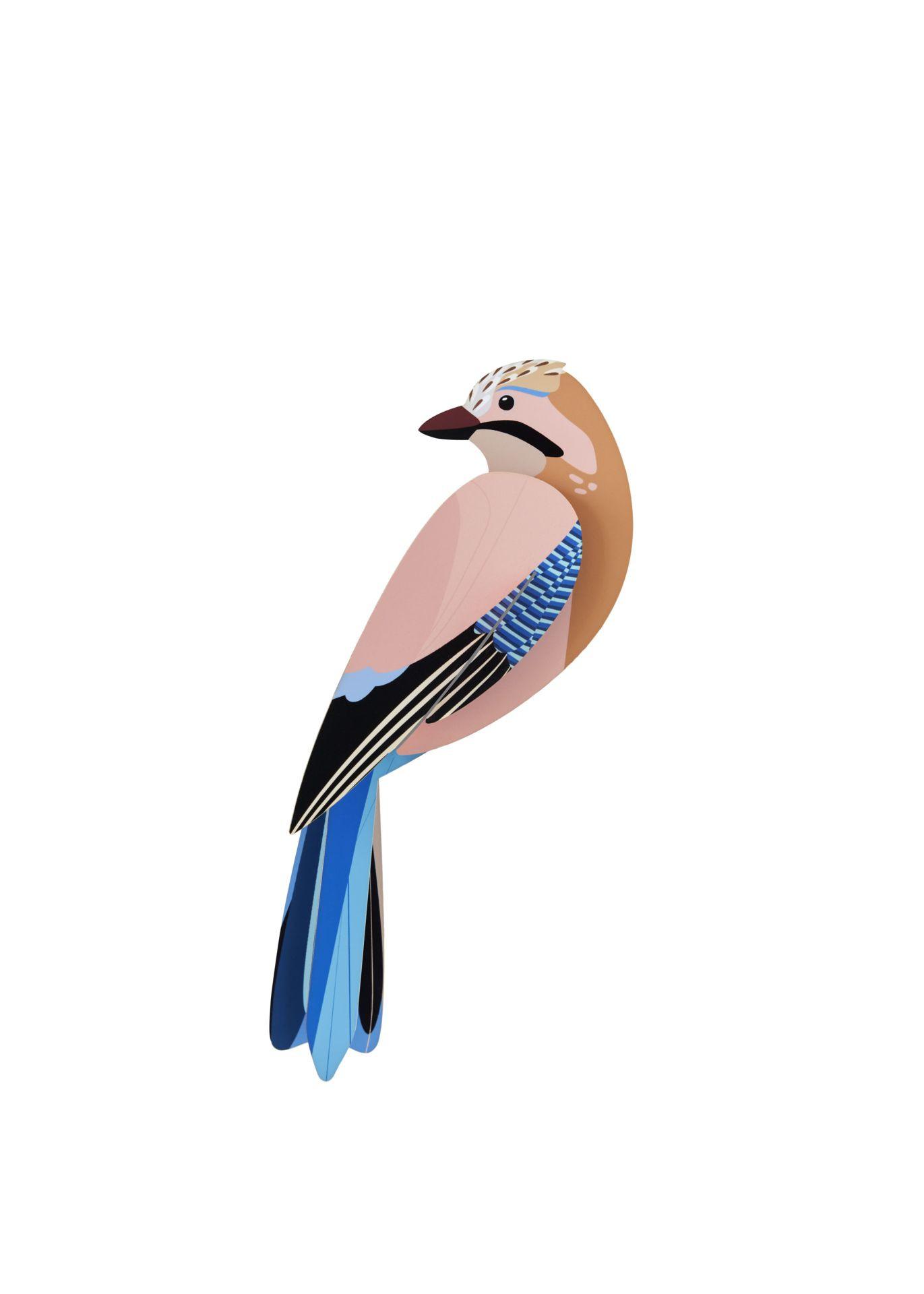 WANDDEKO Eichelhäher 4.5/8 cm - Multicolor, Wellpappe (4.5/8/21cm) - Studio Roof