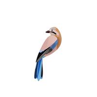 WANDDEKO Eichelhäher 4.5/8 cm - Multicolor, Wellpappe (4.5/8/21cm) - Studio Roof