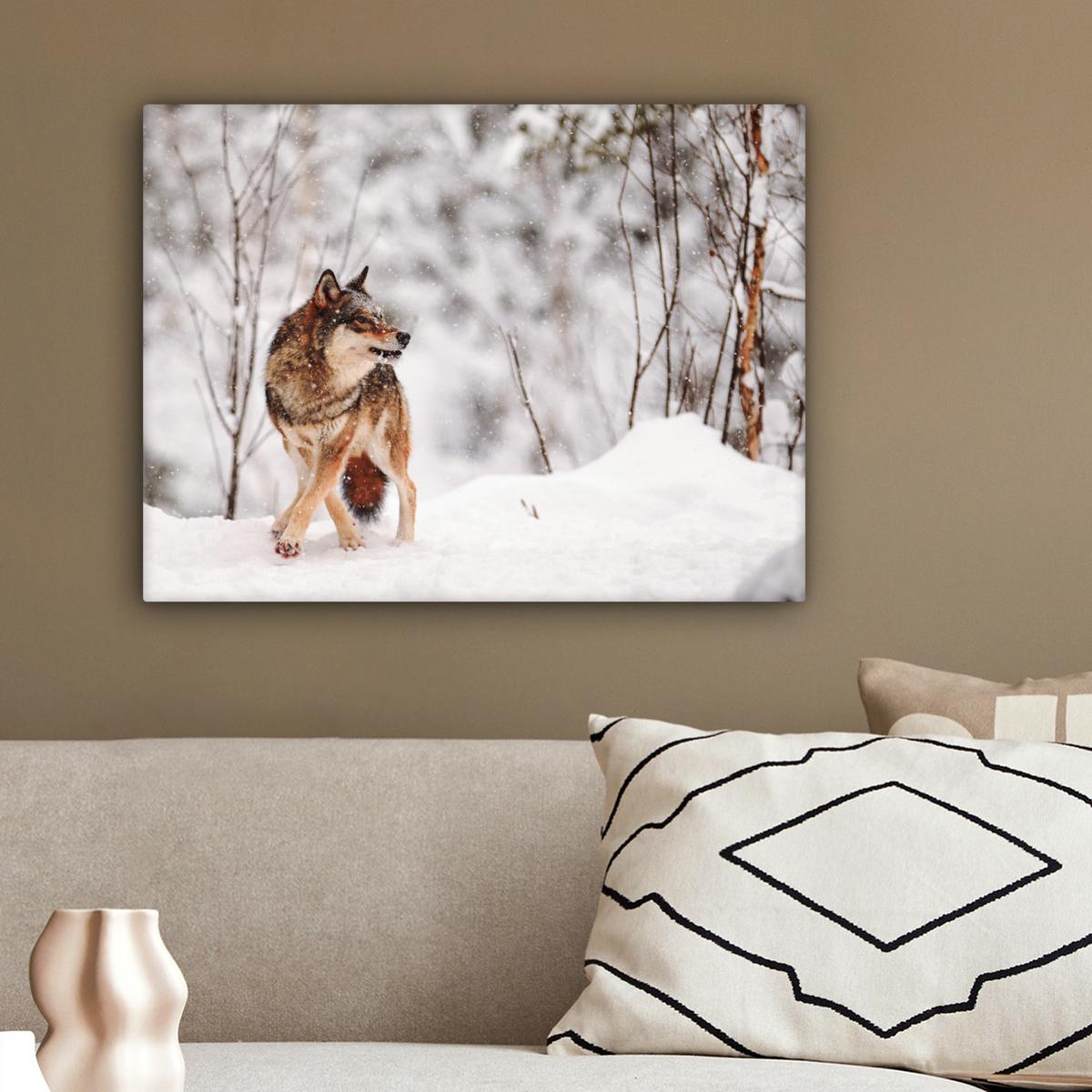 LEINWANDBILD Wolf - Winter - Schnee - Natur - Tiere Wandbild 40x30 cm - Haselnussfarben, Textil (40/30cm) - MuchoWow