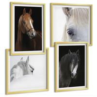 BILDER SET 4er Set - 50x50 cm & 40x60 cm Goldrahmen - Pferdeporträts in Schattierungen - Goldfarben, Kunststoff (50/50cm) - TULUP