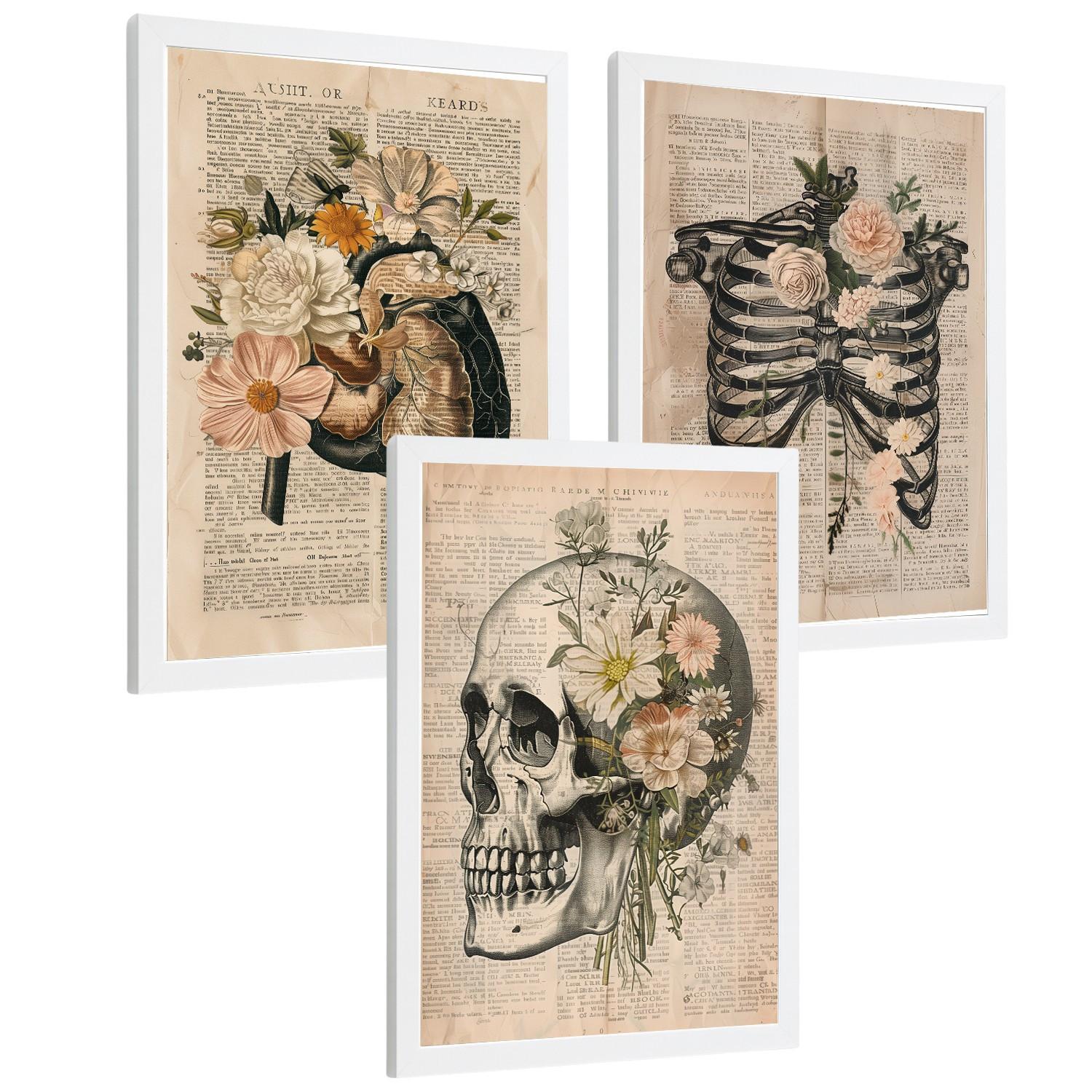 POSTER Set aus 3 Anatomie Mensch Drucke und Wandbilder mit Leber Rippen und Schädel Retro Floraler Stil Wanddekoration Größe Weißer Rahmen A4 - Weiß, Papier (21/29.7/3cm) - Nacnic