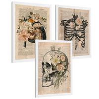 POSTER Set aus 3 Anatomie Mensch Drucke und Wandbilder mit Leber Rippen und Schädel Retro Floraler Stil Wanddekoration Größe Weißer Rahmen A4 - Weiß, Papier (21/29.7/3cm) - Nacnic