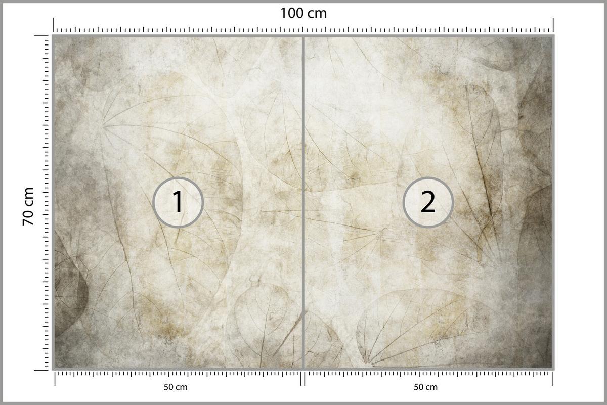 FOTOTAPETE für Wohnzimmer Blätter Beton Abstraktion 100x70 - Beige/Grau, Papier (100/70cm) - Muralo
