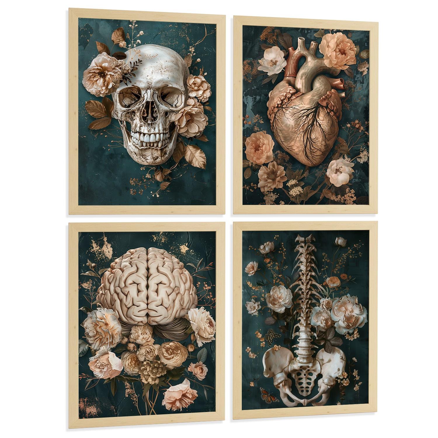 POSTER Set aus 4 Anatomie Drucke und mit Schädel Herz Gehirn Wirbelsäule Skelett Becken Klassisches Florales Design Größe Leichter Holzrahmen A4 - Beige, Papier (21/29.7/3cm) - Nacnic