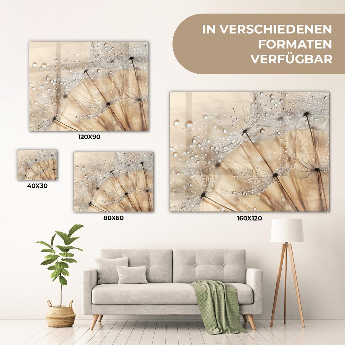 ACRYLGLASBILD Löwenzahn - Abstrakt - Natur - Beige 80x60 cm - Braun, Glas (80/60cm) - MuchoWow