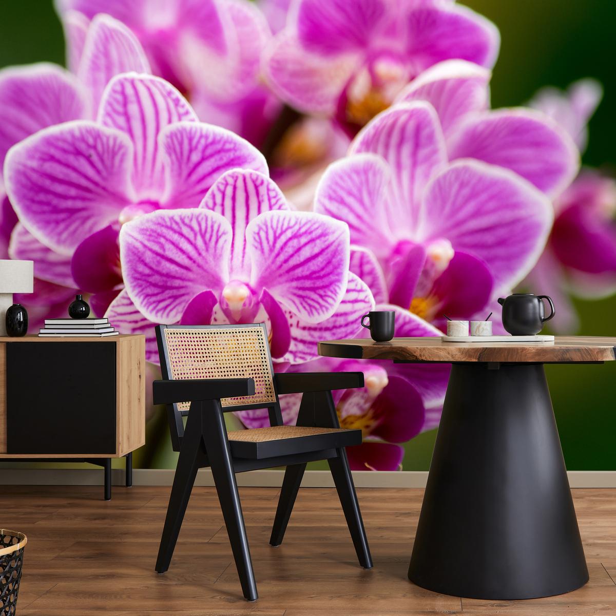 FOTOTAPETE für Wohnzimmer Violetter Orchideenstrauß Blumen 100x70 - Violett/Rosa, Papier (100/70cm) - Muralo