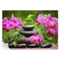 FOTOTAPETE 208x146 cm - Orchideensteine - Grün, Textil (208/146cm) - Wallfluent