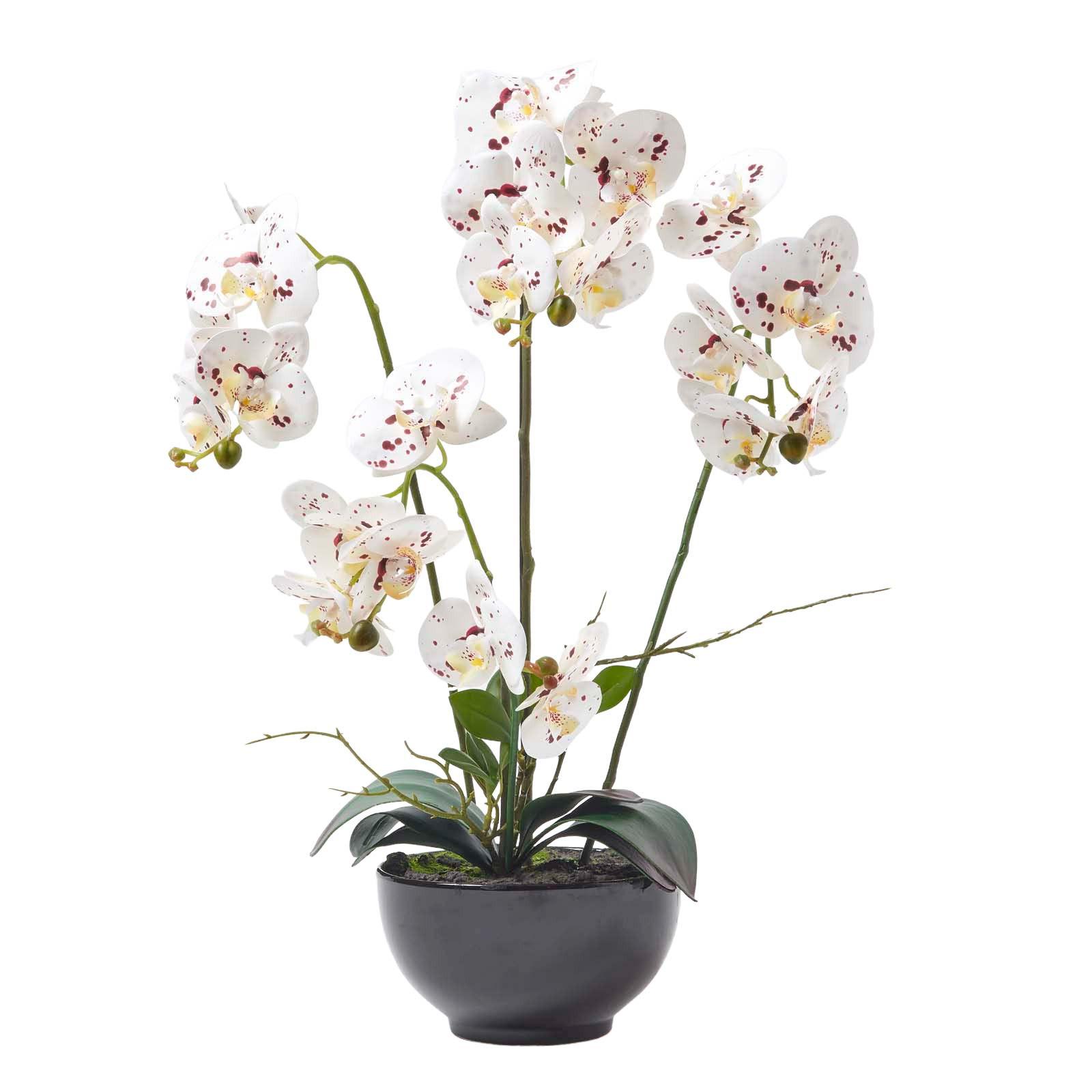 KUNSTBLUME Orchidee weiß-pink in Deko-Schale, 62 cm - Weiß, Kunststoff (62cm) - Homescapes