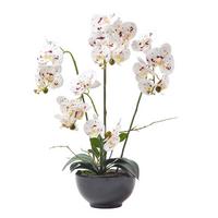 KUNSTBLUME Orchidee weiß-pink in Deko-Schale, 62 cm - Weiß, Kunststoff (62cm) - Homescapes