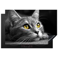 HERDABDECKPLATTE Katze - Grau - Tiere - Katze Induktionsmatte 77x51 cm - Grau, Kunststoff (77/51/0.2cm) - MuchoWow