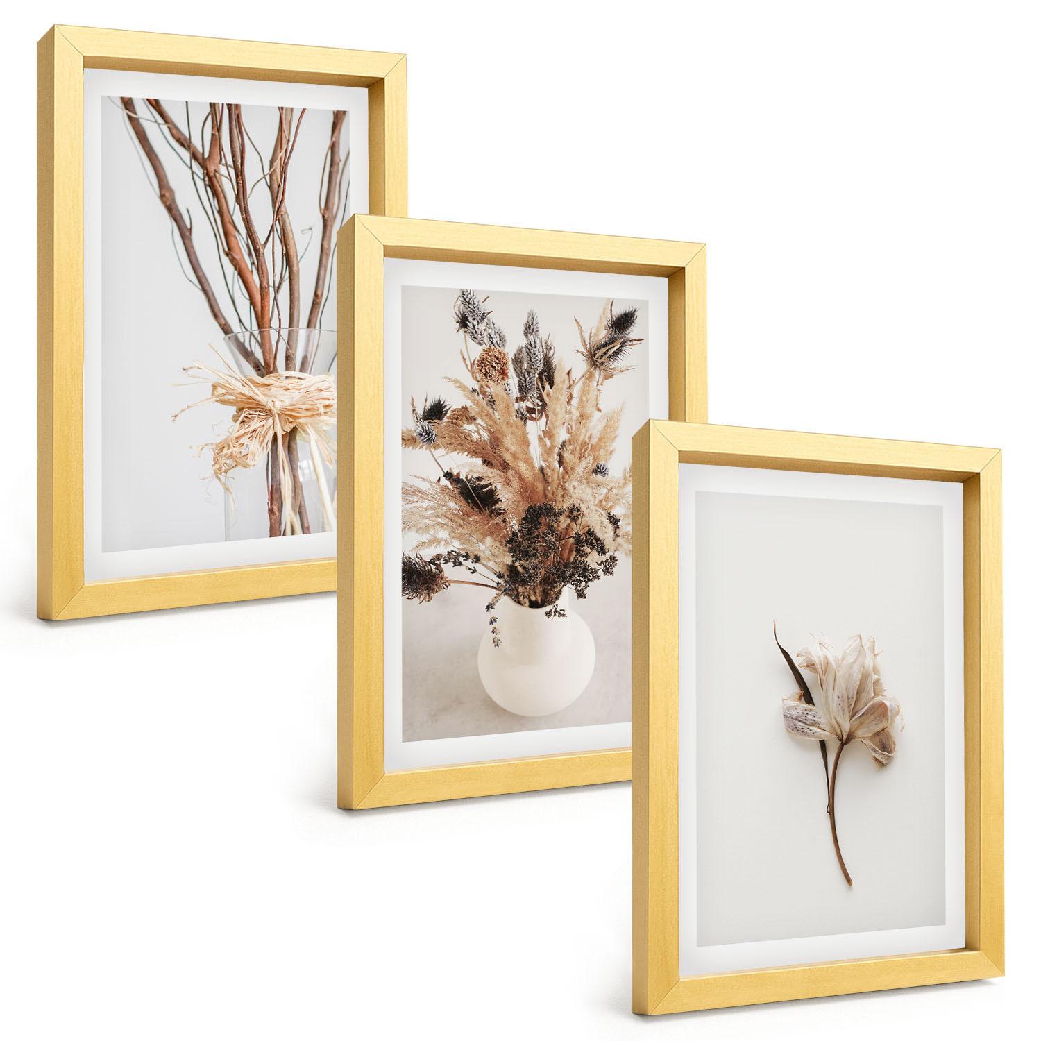 BILDER SET 3er Set - 20x30 cm Goldrahmen - Blumenzweige minimalistisch - Goldfarben, Kunststoff (20/30cm) - TULUP
