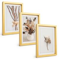 BILDER SET 3er Set - 20x30 cm Goldrahmen - Blumenzweige minimalistisch - Goldfarben, Kunststoff (20/30cm) - TULUP