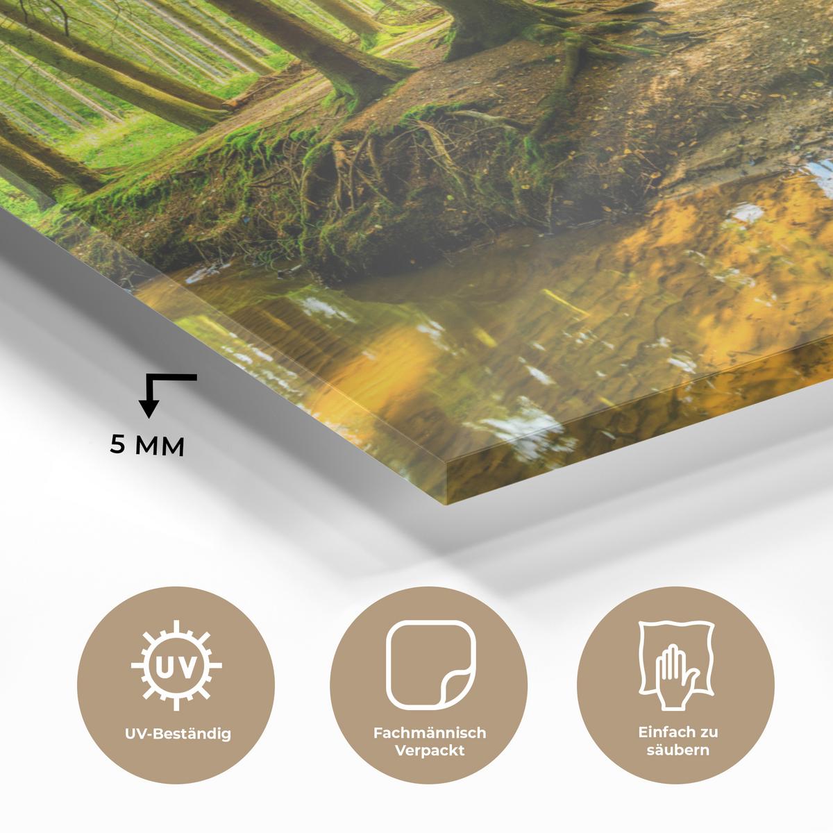 ACRYLGLASBILD Wald - Landschaft - Wasser - Bäume - Sonne - Grün - Natur Room Decor 90x60 cm - Grün, Glas (90/60cm) - MuchoWow