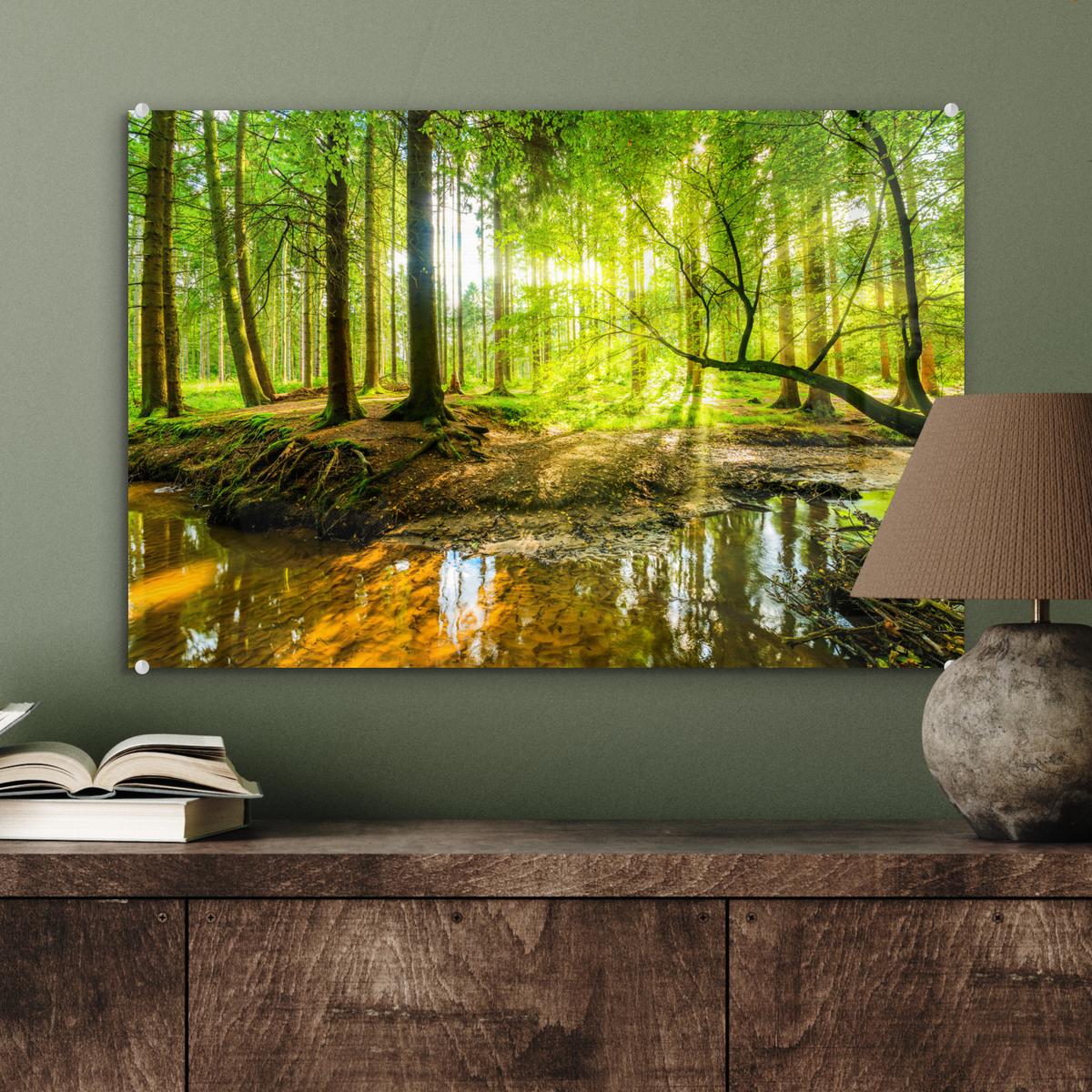 ACRYLGLASBILD Wald - Landschaft - Wasser - Bäume - Sonne - Grün - Natur Wanddeko 60x40 cm - Grün, Glas (60/40cm) - MuchoWow