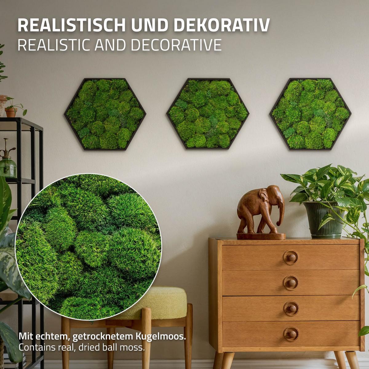 MOOSBILD Hexagon 38x34 cm Mooswand Indoor mit echtem Kugelmoos und Holzrahmen Grün Pflegefrei - Grün, Naturmaterialien (38/34/3.4cm) - ECD-Germany