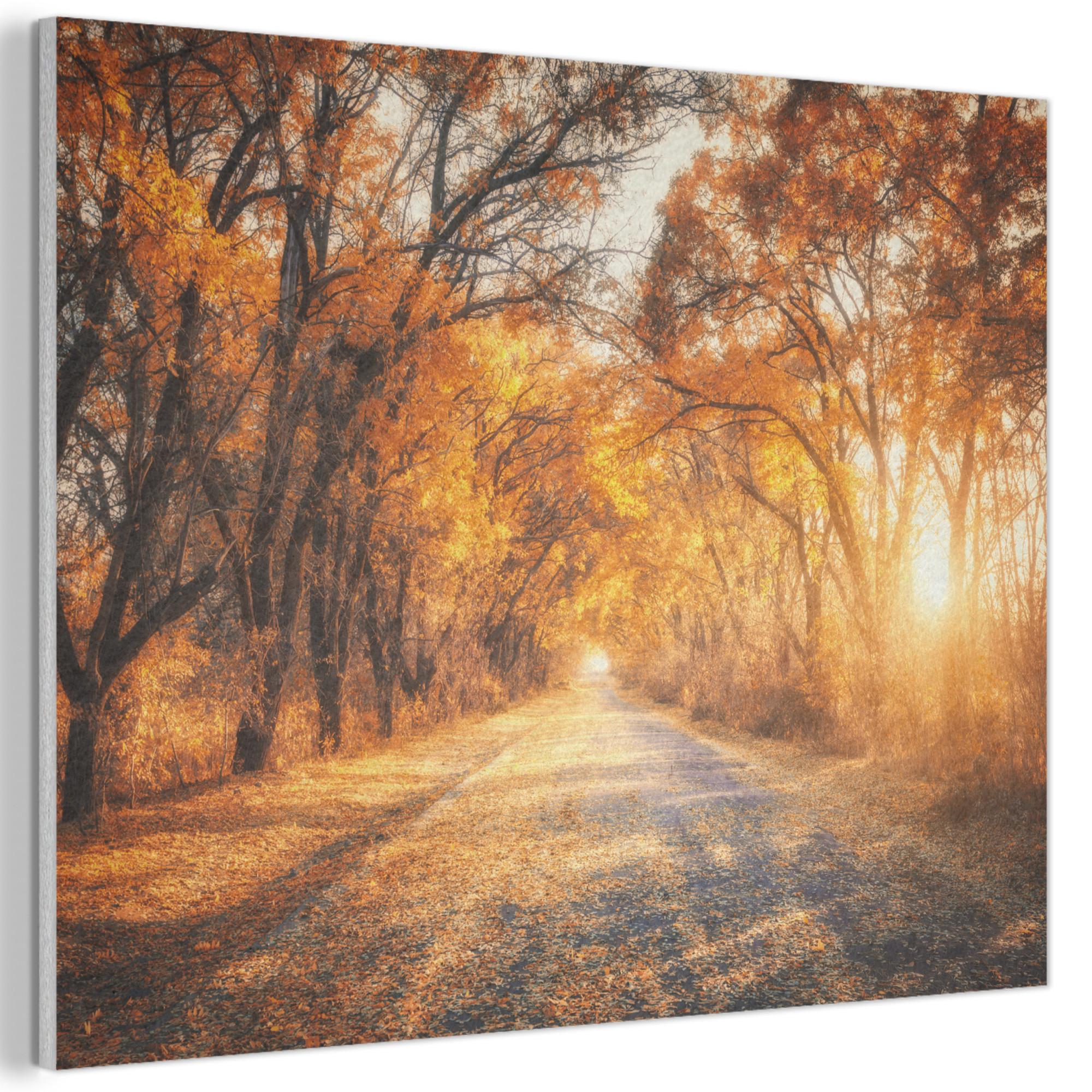AKUSTIKBILD Wald - Herbst - Bäume - Waldweg - Natur Gemälde 80x60 cm - Bernsteinfarben, Kunststoff (80/60/0.9cm) - MuchoWow